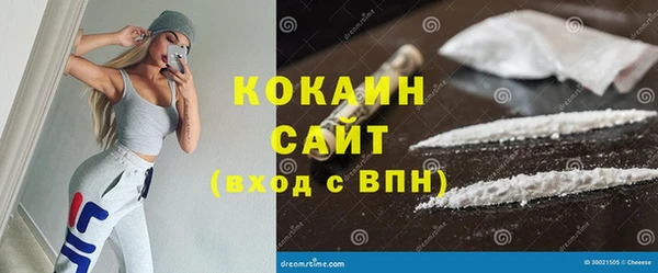 прущие грибы Кулебаки