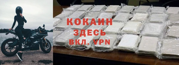 прущие грибы Кулебаки