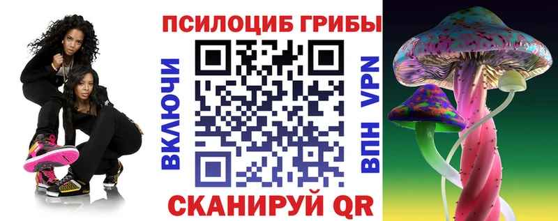 Псилоцибиновые грибы Psilocybine cubensis  Купить  Каспийск 